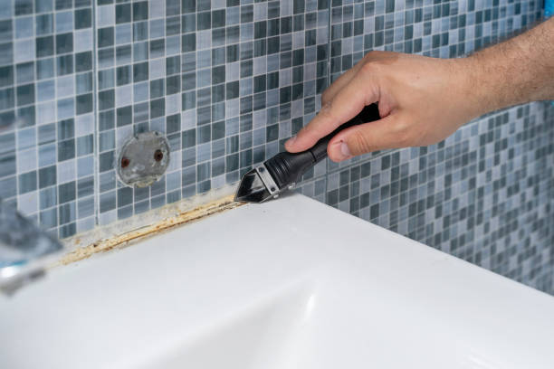 Best Commercial Mold Removal  in Crosby, TX