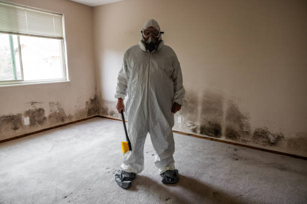 Trusted Crosby, TX Mold Removal Experts